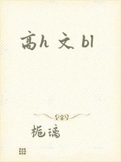 高h 文 bl封面