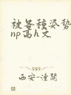 被各种姿势玩弄np高h文