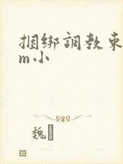 捆绑调教束缚sm小