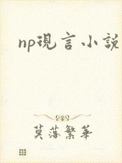 np现言小说h封面