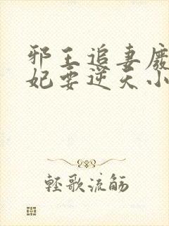 邪王追妻废材狂妃要逆天小说