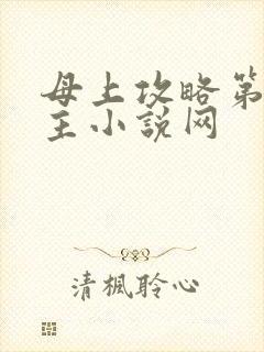 母上攻略第一版主小说网