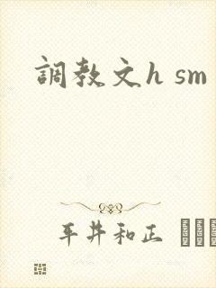 调教文h sm封面