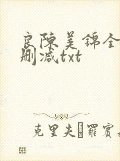 良陈美锦全文无删减txt