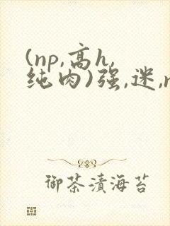 (np,高h,纯肉)强,迷,np