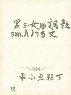 男s女m调教(sm,h)污文封面