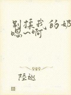 别揉我的奶头 嗯~啊封面