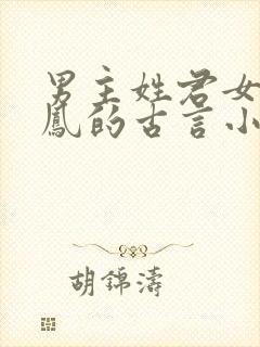 男主姓君女主姓凤的古言小说