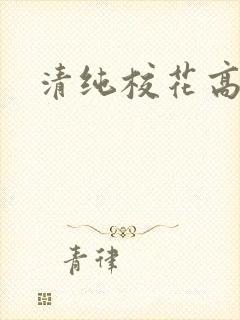 清纯校花高h文封面