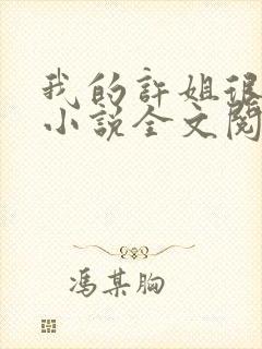 我的许姐很温柔小说全文阅读