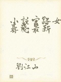 小说官路女人香聂飞最新