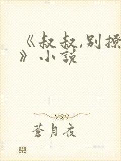 《叔叔,别撩我》小说