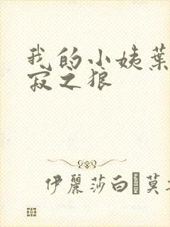 我的小姨叶凡孤寂之狼