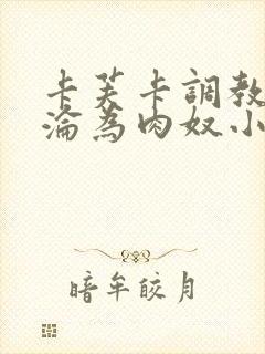 卡芙卡调教喷水沦为肉奴小说封面