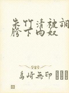 朱竹清被调教成胯下肉奴封面