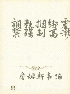 调教捆绑震动失禁强制高潮封面