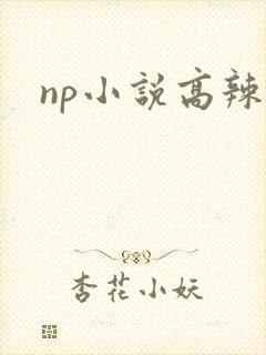 np小说高辣文