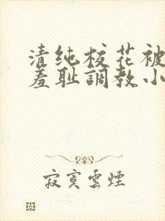 清纯校花被民工羞耻调教小说