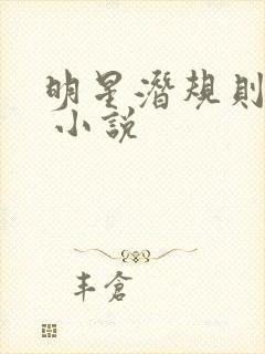 明星潜规则之皇 小说