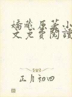 娇藏原著小说全文免费阅读