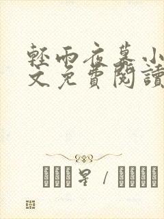 轻雨夜幕小说全文免费阅读封面