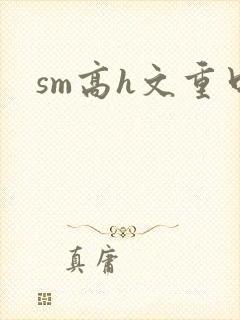 sm高h文重口封面