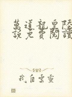 万道龙皇陆鸣小说免费阅读笔趣阁封面