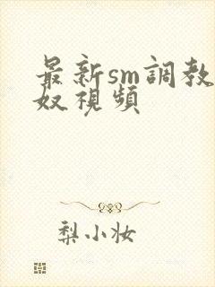 最新sm调教男奴视频