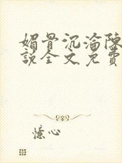 媚骨沉沦陈婷小说全文免费阅读