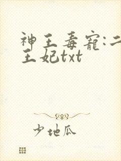 神王毒宠:二嫁王妃txt