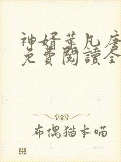 神婿叶凡唐若雪免费阅读全文最新章节