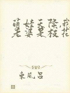 萌娃天降,我的老婆是校花短剧