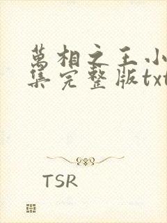 万相之王小说全集完整版txt