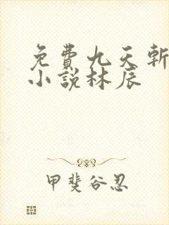 免费九天斩神诀小说林辰