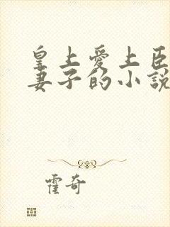 皇上爱上臣子的妻子的小说封面