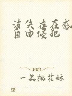 消失存在感消失自由侵犯