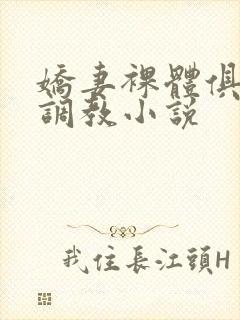 娇妻裸体俱乐部调教小说封面