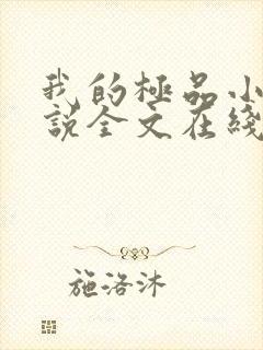 我的极品小姨小说全文在线阅读