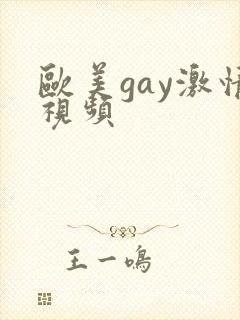 欧美gay激情视频