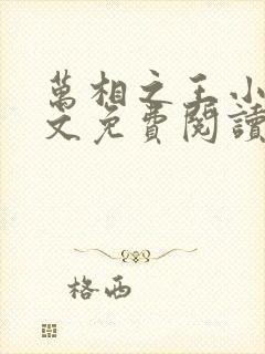 万相之王小说全文免费阅读无弹窗