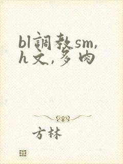 bl调教sm,h文,多肉
