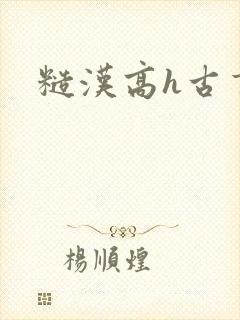 糙汉高h古言