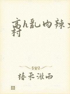 高h乱肉辣文乡村