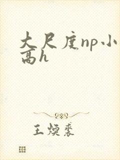 大尺度np小说高h