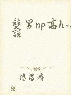 双男np高h小说