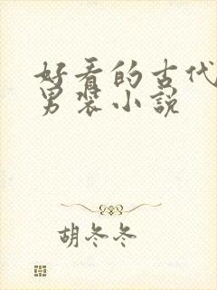 好看的古代女扮男装小说