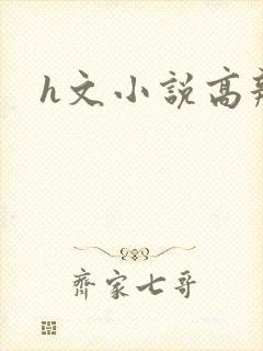 h文小说高辣