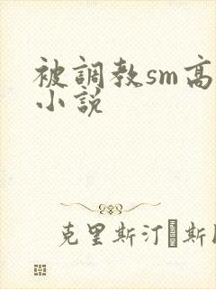 被调教sm高h小说