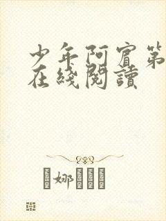 少年阿宾第一章在线阅读