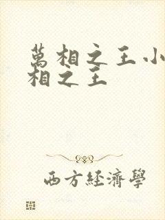 万相之王小说万相之王